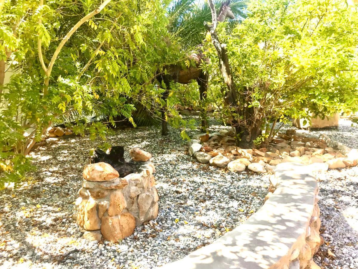 Mountain View Eco Lodge Montagu Exterior foto